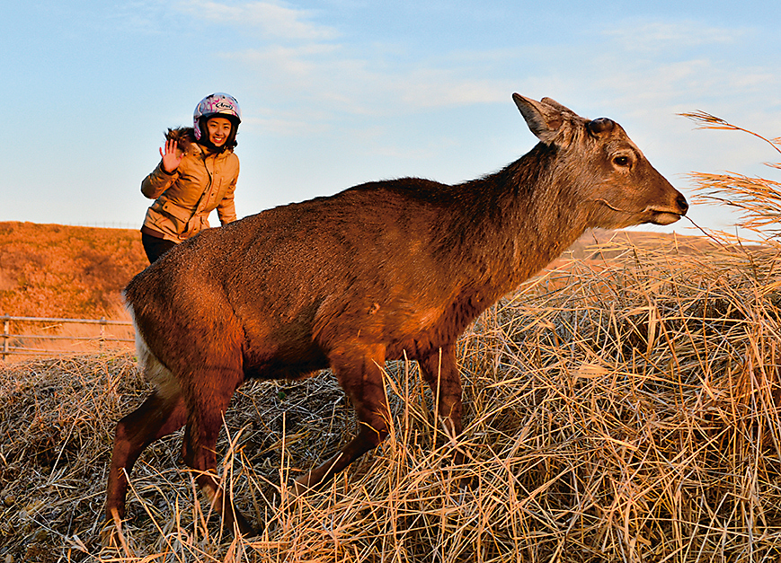 13_hokkaido-touring2019