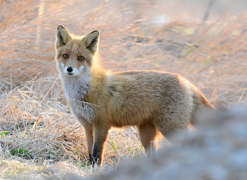14_hokkaido-touring2019