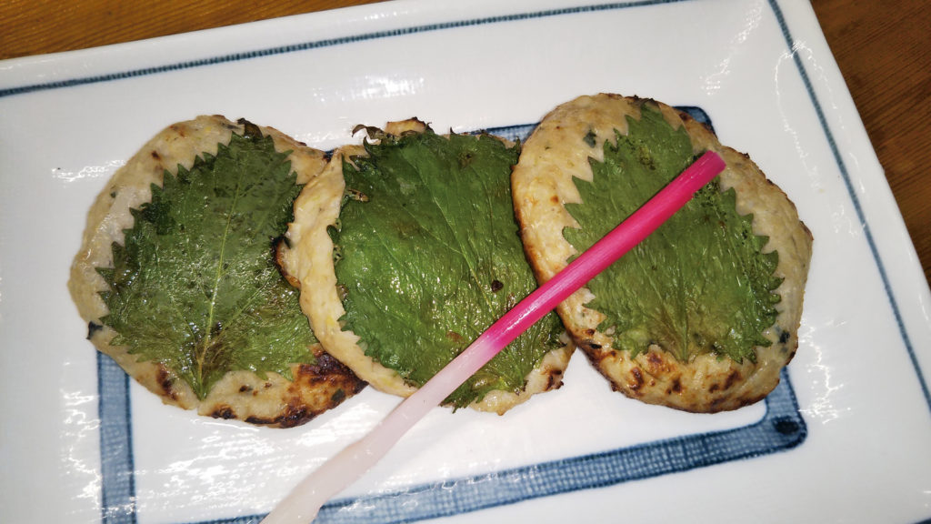 chiba-nanbu-touring13