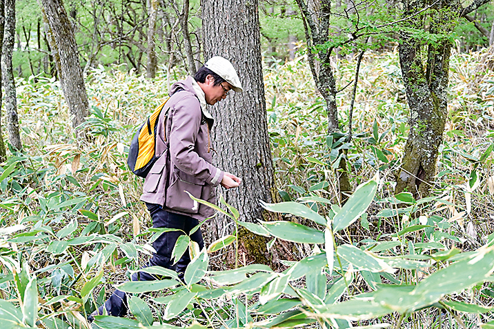 nagano-touring-aips_11-1