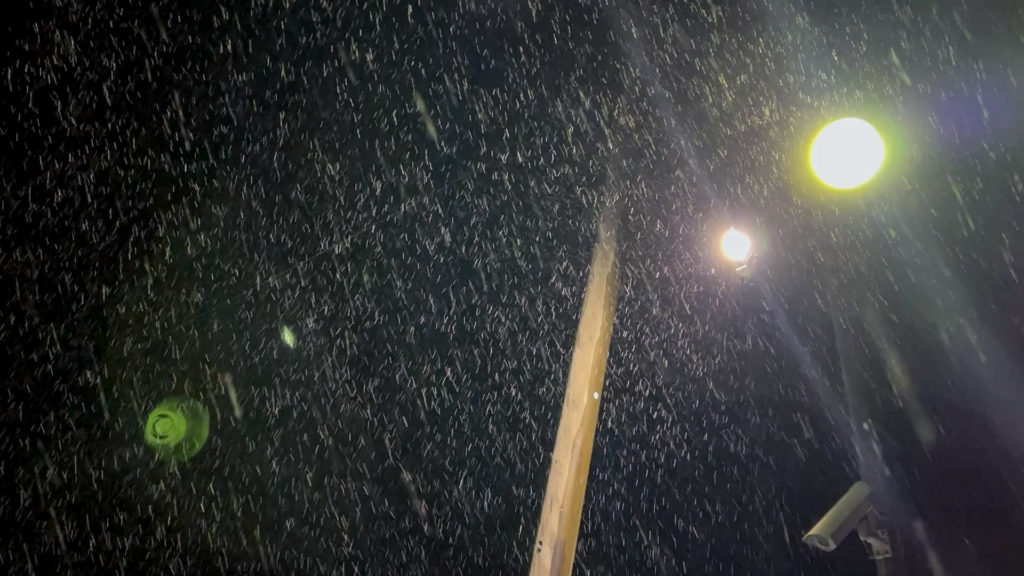 wakayama_kaigan_touring_17